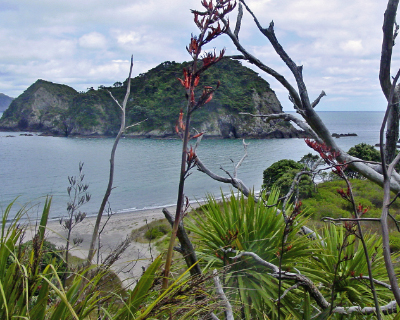 Moturua Island 014