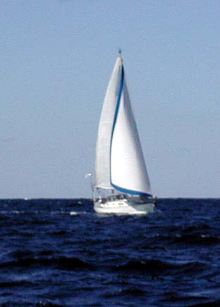 ascension under sail 2.jpg (30204 bytes)