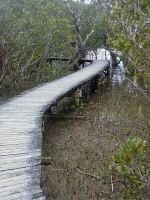 Bay of Islands-13_edited.jpg (187315 bytes)