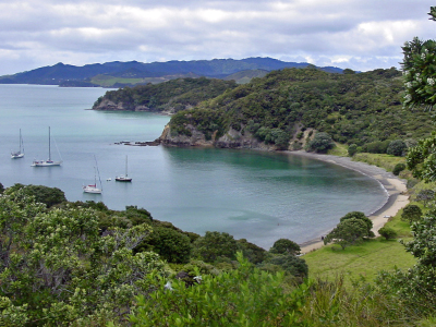 Moturua Island 008