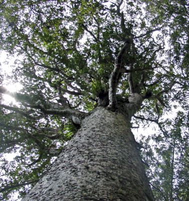 visit from Norm & Marianne 003