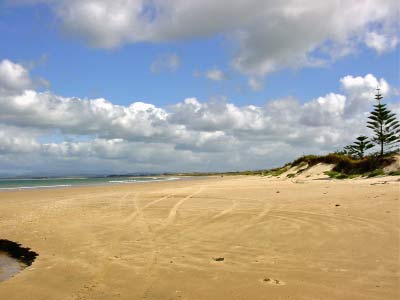 visit from Norm & Marianne 019