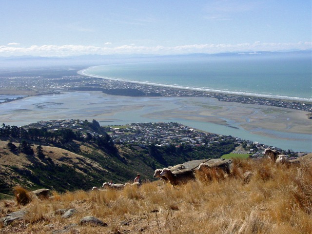 Original image