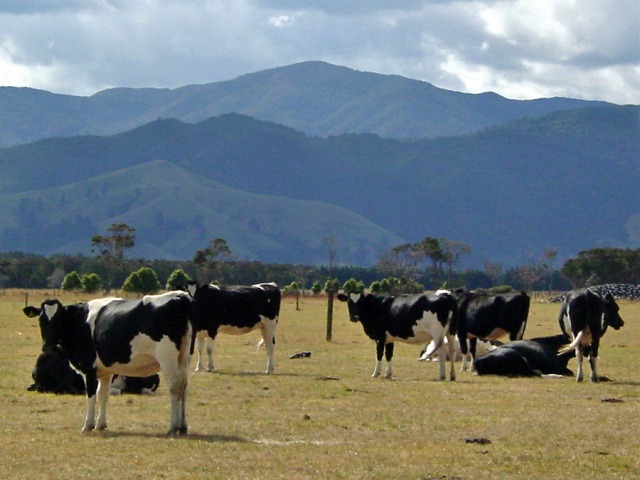 Original image