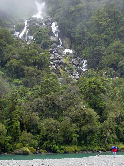 Original image