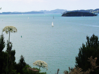 Bay of Islands-11