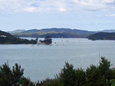 Bay of Islands-12_edited