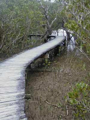 Bay of Islands-13_edited