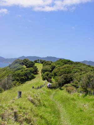 visit from Norm & Marianne 048