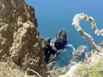 visit from Norm & Marianne 071