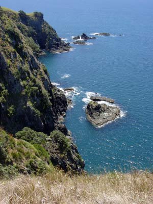 visit from Norm & Marianne 073