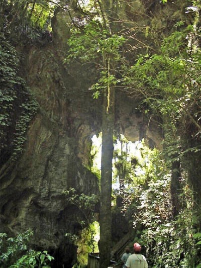 Original image