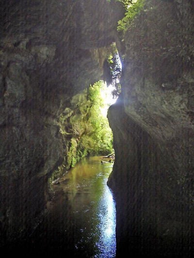 Original image